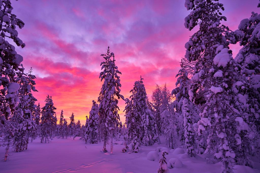 Lapland Guesthouse Kangos Exterior photo